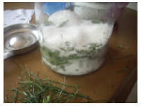 p�dy sosny przesypane cukrem, przepis na syrop z m�odych p�d�w sosny